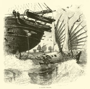 Sinekkaydı by American School