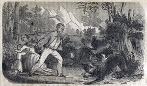 Bir kadın ve çocuğun önünde köpeklerle kavga eden bir adam by American School