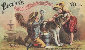 Buchans Carbolic Dezenfekte Edici Sabun No. 11, c.1880 için Reklam by American School