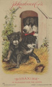 J. D. Larkin & Cos Boraksin için Reklam, 1882 by American School