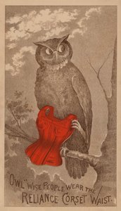  by American School