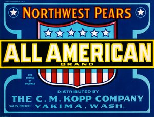 Tüm Amerikan Markası Meyve Kasası Etiketi, c.1920 (litografi) by American School