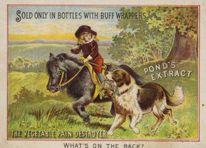 Köpeğiyle midilliye binen çocuk by American School