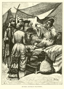 Devekuşu tüyü satın almak by American School