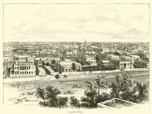 Kalküta by American School