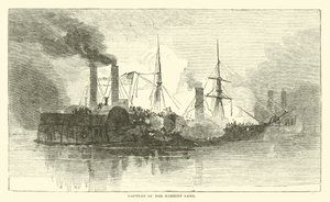 Harriet Lane