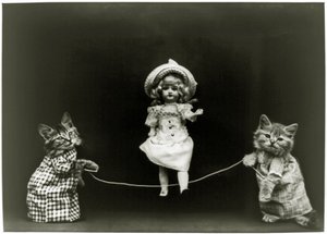 Kedi merakı, 1891 by American School