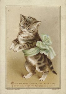 Yeşil Fiyonklu Kedi by American School