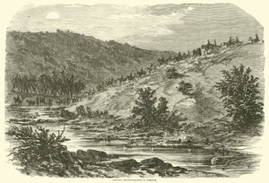 Virginia