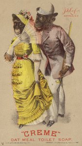 Giysili şempanzeler by American School