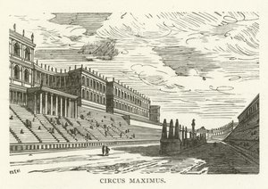 Maksimus Sirki by American School