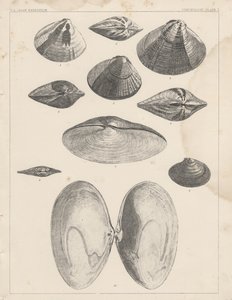  by American School