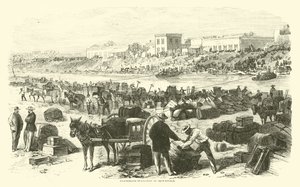 Brownsville, Kasım 1863 Konfederasyon tahliyesi by American School