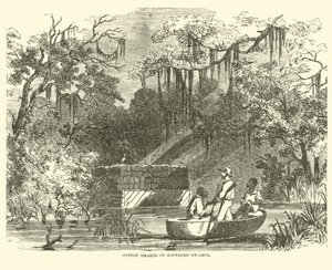 Güney Bataklıklarındaki pamuk yığınları, Temmuz 1862 by American School
