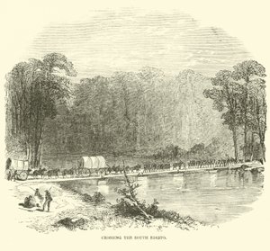 Güney Edisto