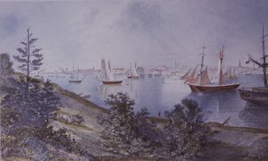 Tony roig, yol kanseri, tavşan by American School