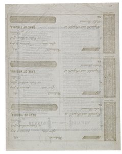 Dixie bir yaprağın arkasına basılmış çekler, 1861 by American School