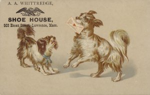 Mektup ağzına tutan köpek by American School