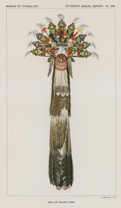 Kalko Taka Bebeği by American School