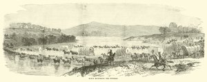 Potomac