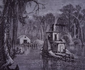 Florida Everglades sahnesi by American School