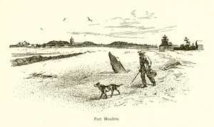 Moultrie Kalesi by American School