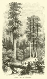 Kaliforniya