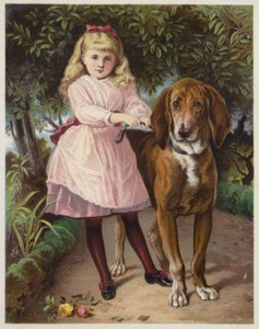 Bloodhound