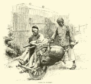 pazara gitmek by American School