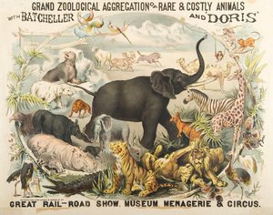 Batcheller ve Doris (chromolitho) ile Nadir ve Pahalı Hayvanların Büyük Zoolojik Toplama by American School