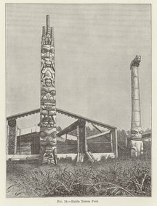 Haida Totem Karakolu by American School