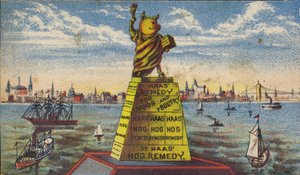 Bir Kaide Üzerinde Domuz by American School