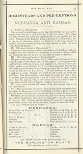 Homesteads ve Pre-Emptions, 1872 (baskı) by American School
