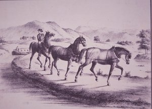 Erie Kanalı