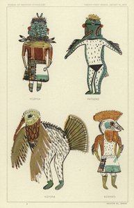 Hospoa, Paszro, Koyona, Kowako (renkli lito) by American School