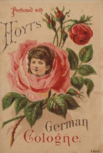Hoyts Alman Köln by American School