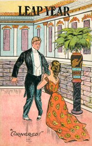 Artık Yıl Teklifi by American School