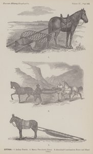 Çöpler (gravür) by American School