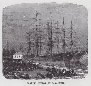 Savannah