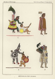Meksika askeri amblemi by American School