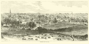 Tepede Natchez, Mayıs 1862 by American School