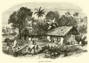 Yerli köy by American School