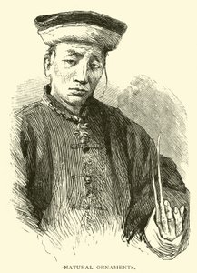 Doğal süsler by American School