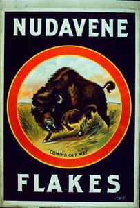 nüdavene gevreği by American School