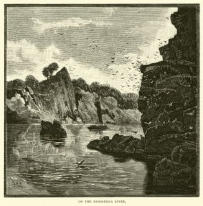 Neirhedda Nehri üzerinde by American School