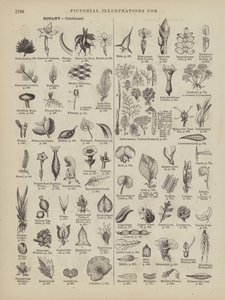  by American School