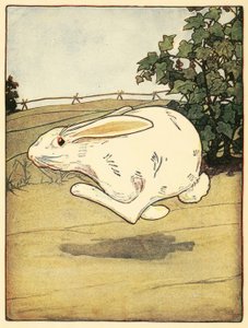 Peter, The Tale of Peter Rabbit