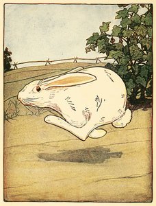 Peter, The Tale of Peter Rabbit, pub
