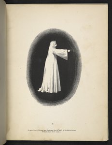 Plaka 3. Beyaz bir hayalet.  spektropi; veya, Her yerde ve herhangi bir renkte hayaletler gösteren şaşırtıcı spektral yanılsamalar vb. ser. 1.  J.H. Kahverengi  1864 by American School