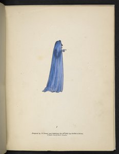 Plaka 7. Mavi bir hayalet.  spektropi; veya, Her yerde ve herhangi bir renkte hayaletler gösteren şaşırtıcı spektral yanılsamalar vb. ser. 1.  J.H. Kahverengi  1864 by American School